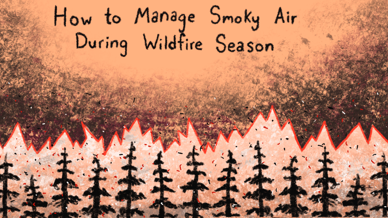 wildfire smoke image newsletter